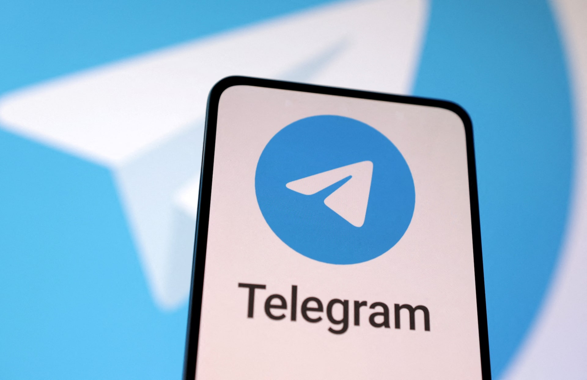 Telegram channels and file-sharing interface